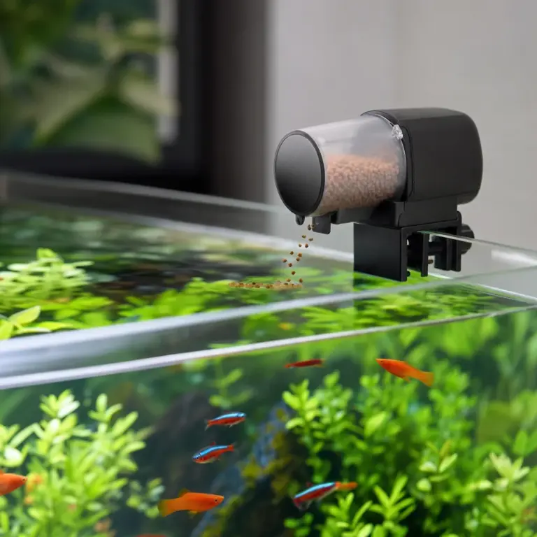 How to Leave Your Aquarium Safely While on Vacation