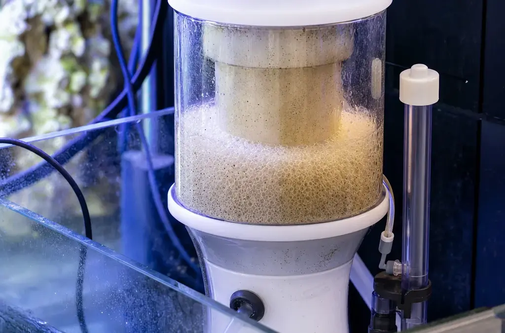 Protein Skimmers Explained: Do You Need One?