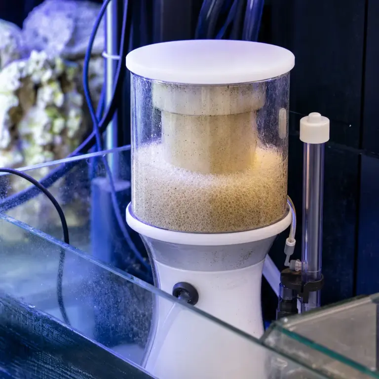 Protein Skimmers Explained: Do You Need One?