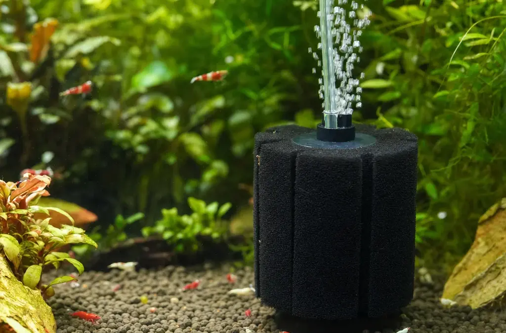 Sponge Filters: Why Every Aquarist Should Use One